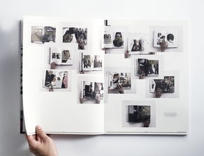 国外“仅供浏览”书籍的装帧设计 从功能到艺术的探索